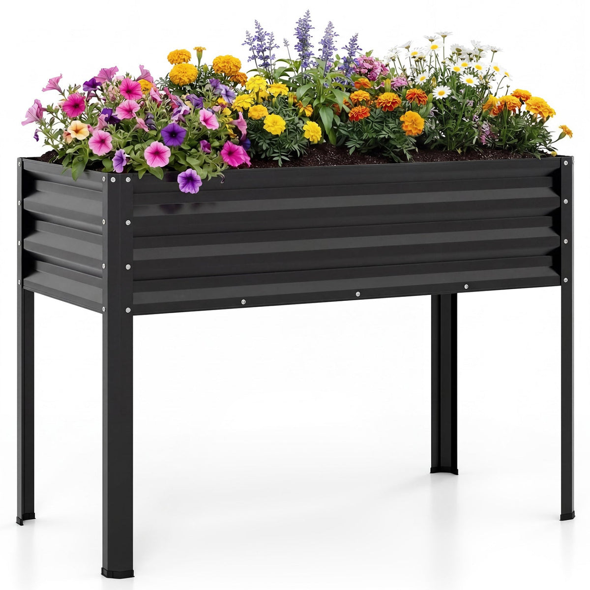 Raised garden bed in a home homestead garden