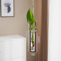 Scandinavian Glass Propagation Vase with Iron Frame