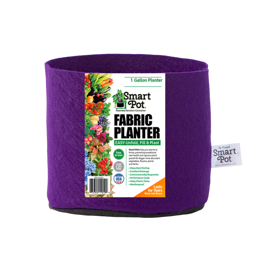 Smart Pot Fabric Grow Bag – Breathable Root-Pruning Planter
