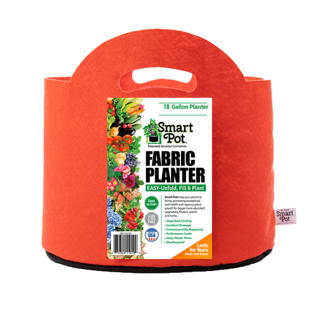 Smart Pot Fabric Grow Bag – Breathable Root-Pruning Planter