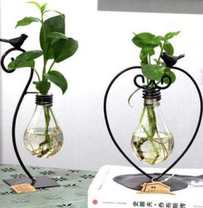 Glass Hydroponic Plant Vase with Steel Stand