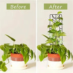 2-Pack: Metal Plant Trellis for Climbing Plants Indoor