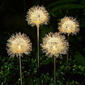2-Pack: Outdoor Solar Dandelion Lawn Lights — product image