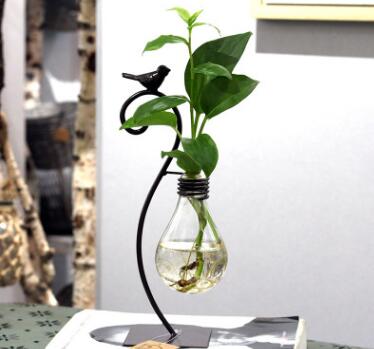 Glass Hydroponic Plant Vase with Steel Stand