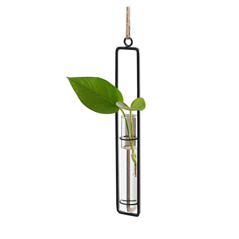Scandinavian Glass Propagation Vase with Iron Frame