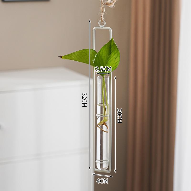 Scandinavian Glass Propagation Vase with Iron Frame
