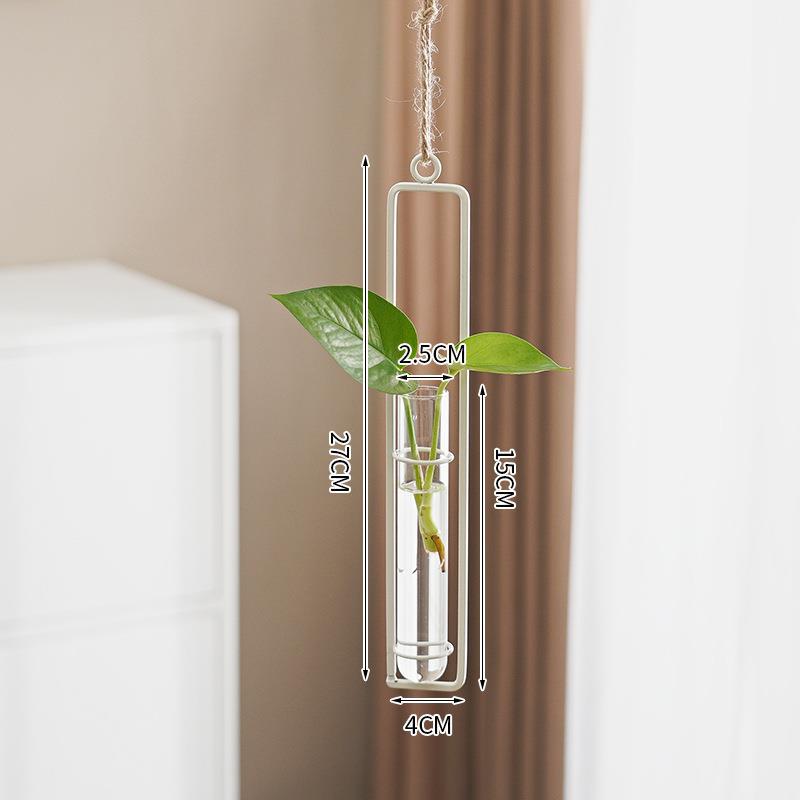 Scandinavian Glass Propagation Vase with Iron Frame