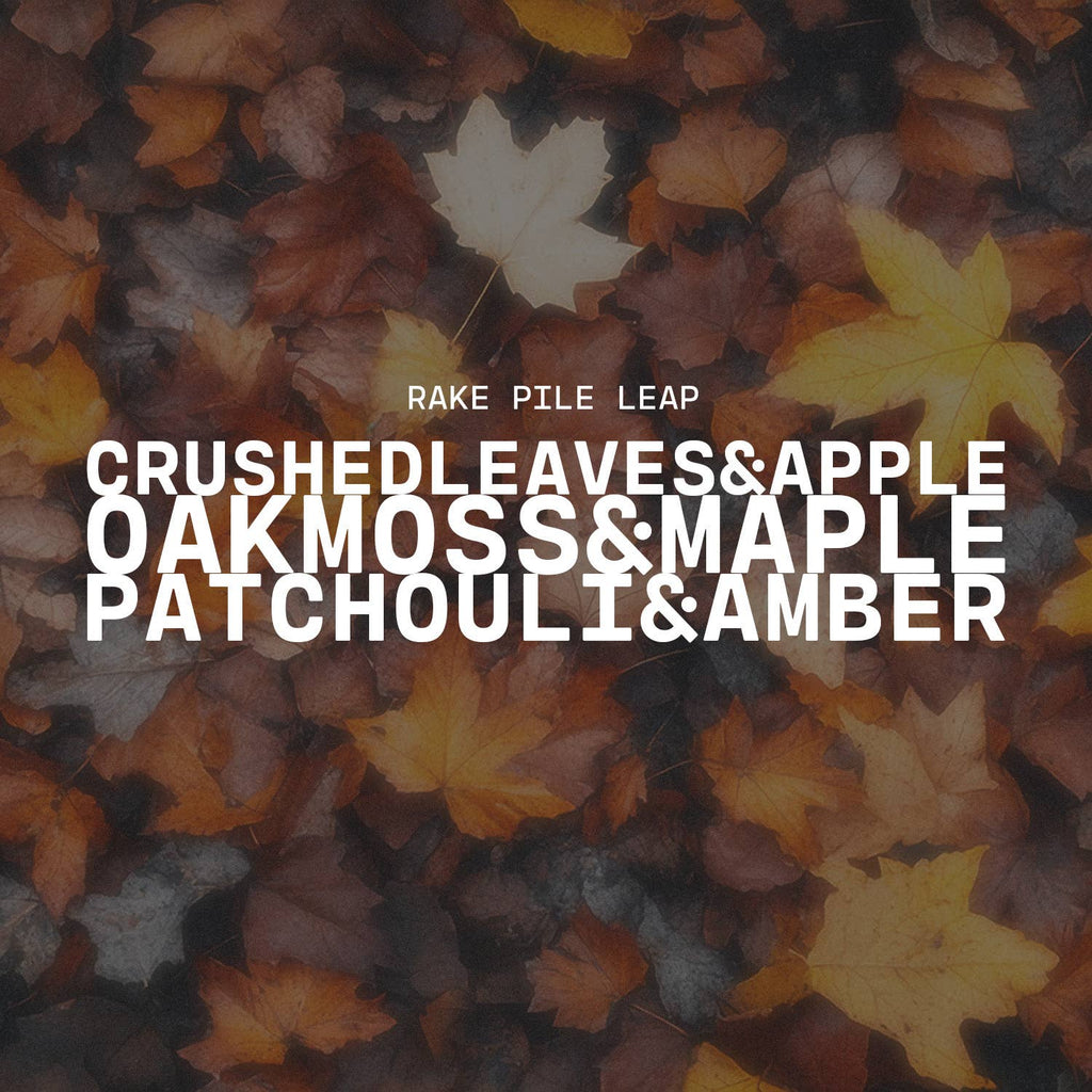 Fall Ceramic Pumpkin 16 oz: Rake, Pile, Leap! Candle — product photo 3