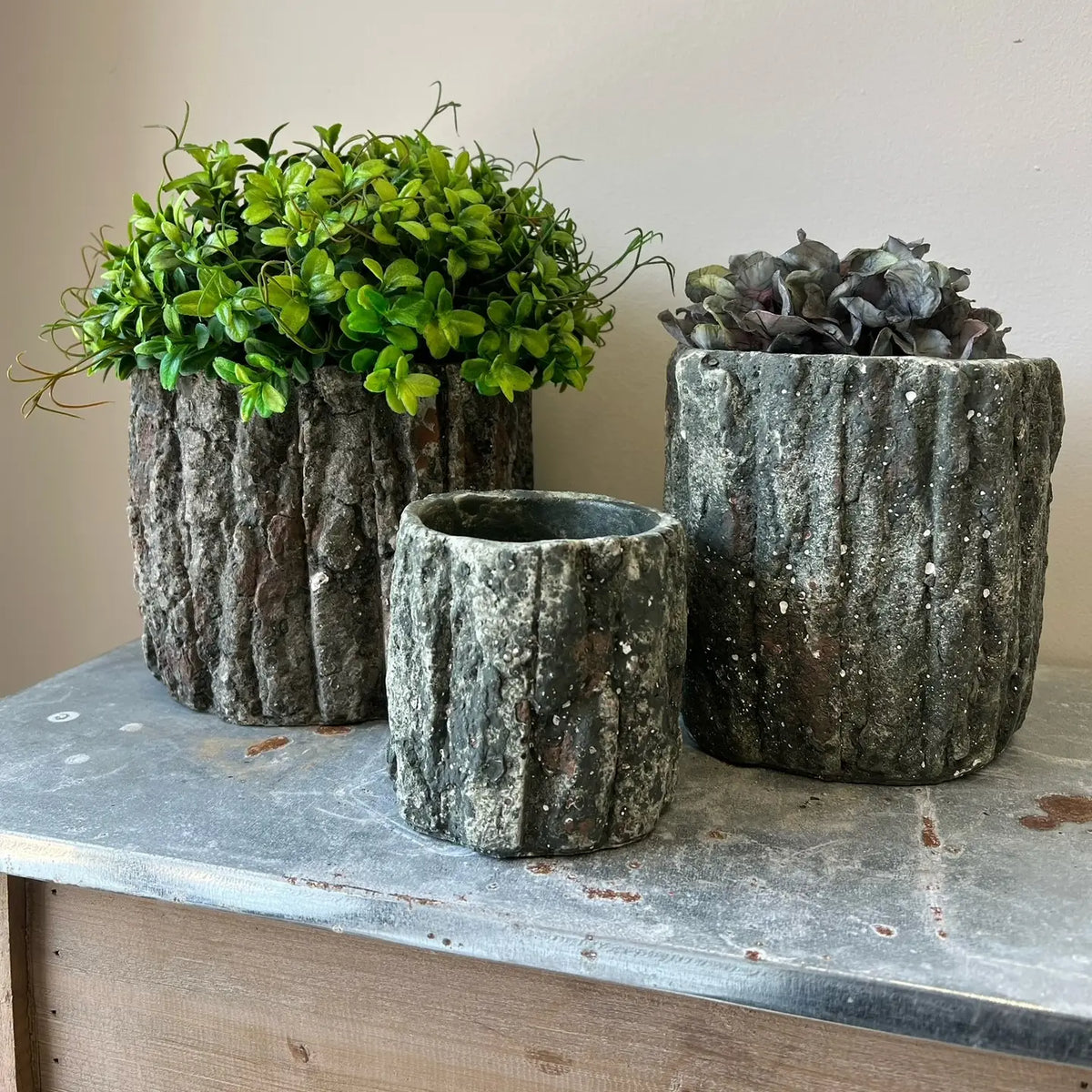 Round Concrete Pot with Bark Motif