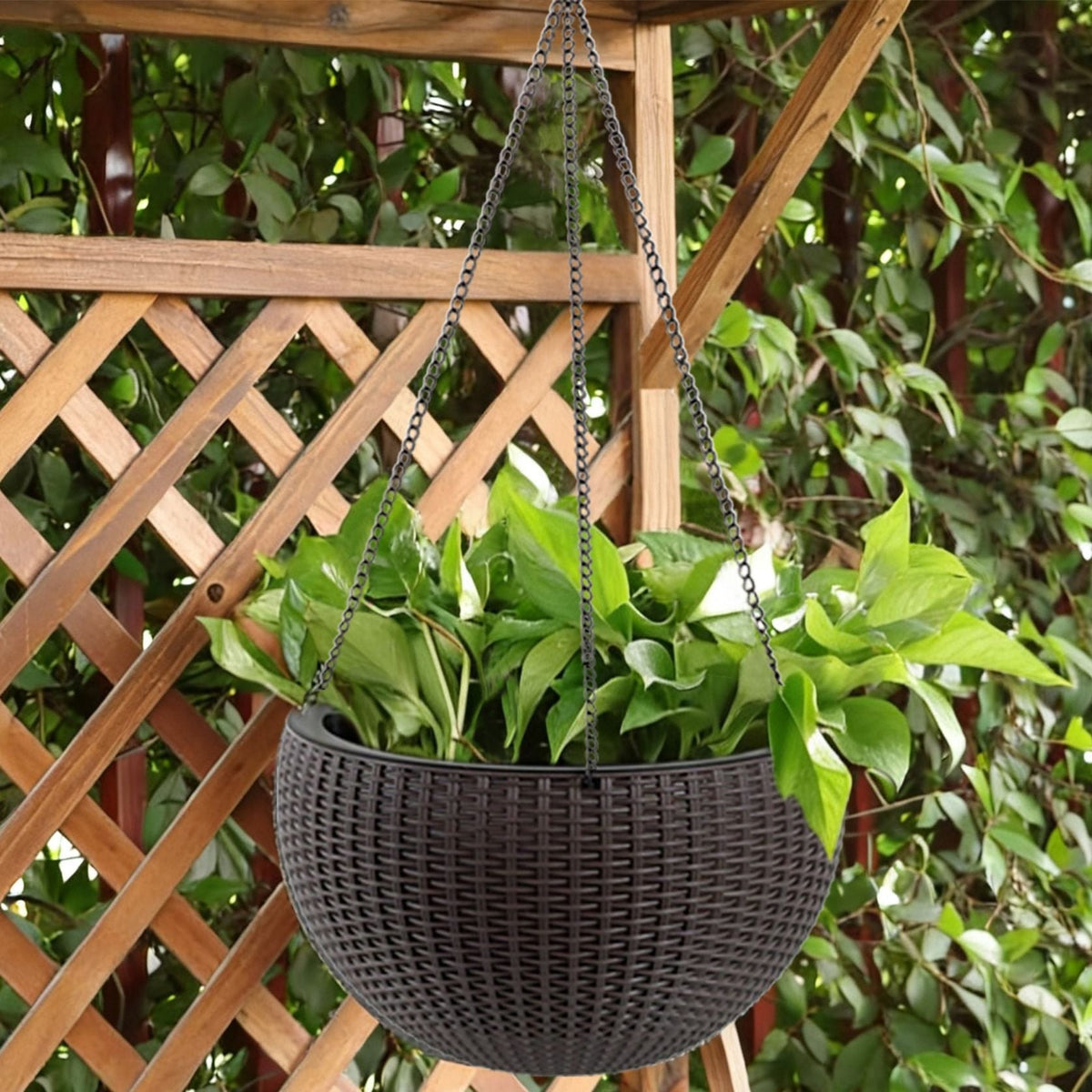 Self Watering Hanging Planter with Water Level Indicator - White, Black, or Dark Brown
