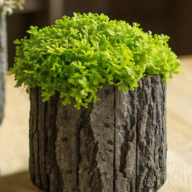 Round Concrete Pot with Bark Motif