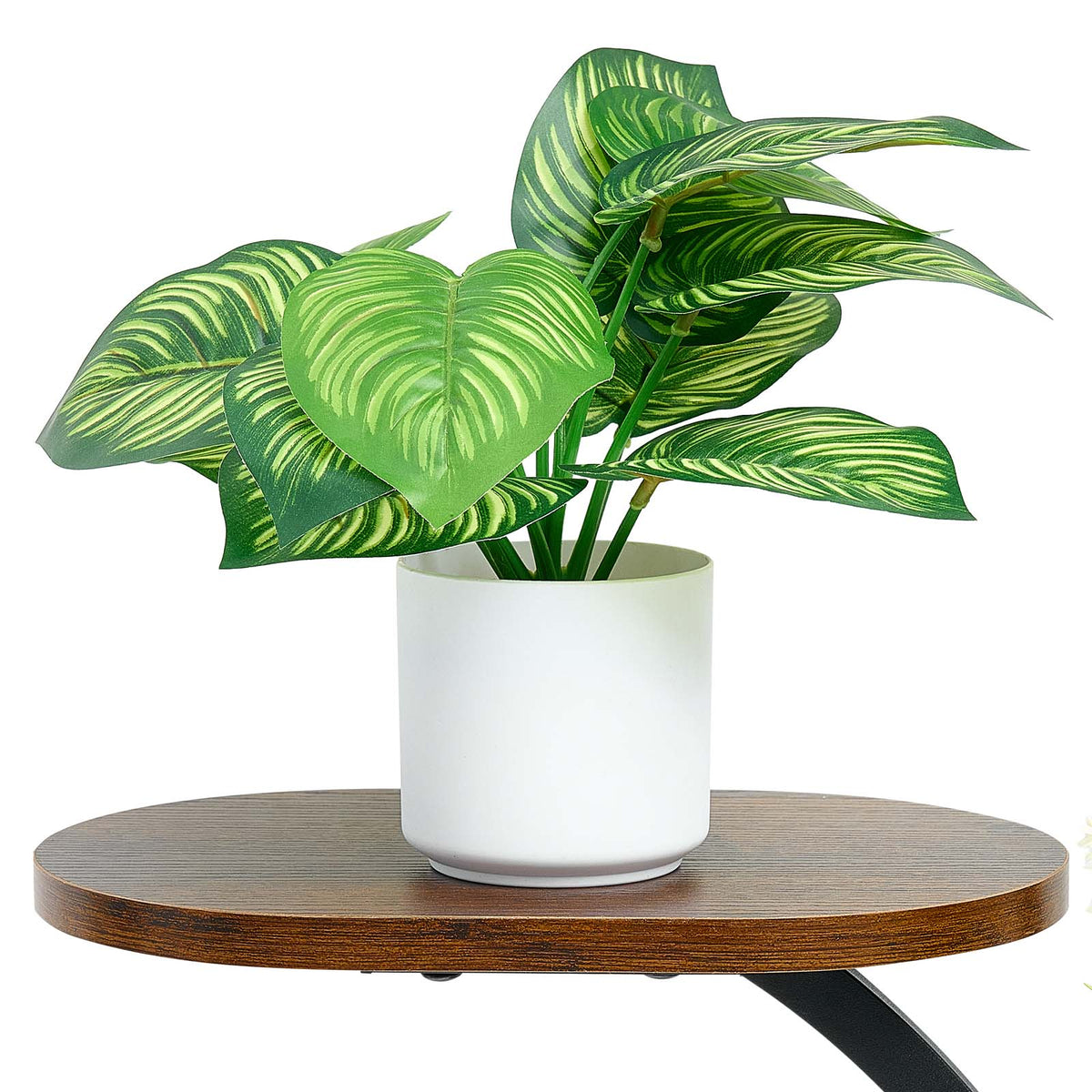 62 in Tall Indoor Plant Stand with Adjustable Grow Lights – 8-Tier Display Shelf