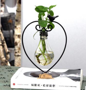 Glass Hydroponic Plant Vase with Steel Stand