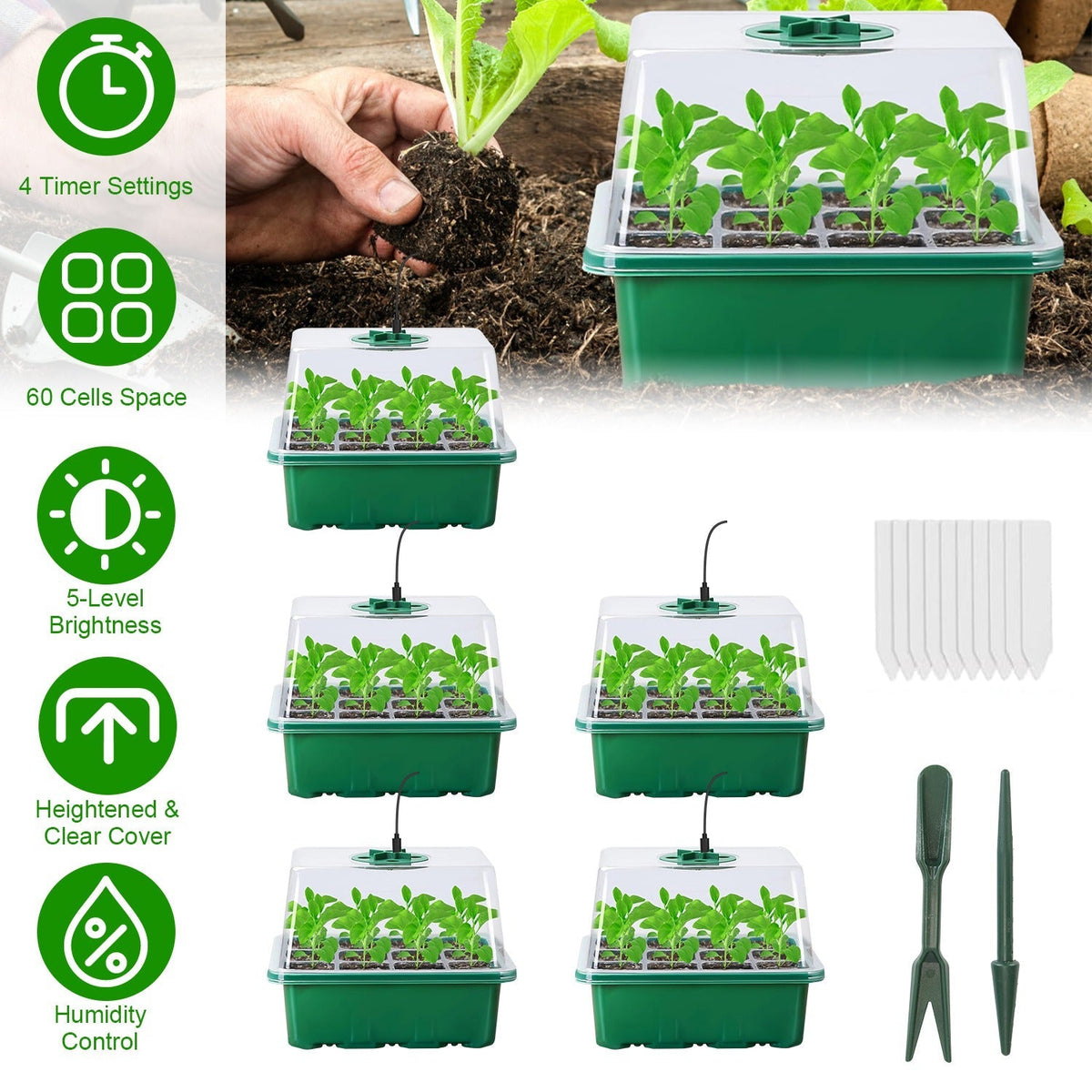 Indoor Seed Starter Kit – 5 Grow Lights, 60-Cell Tray & Humidity Dome