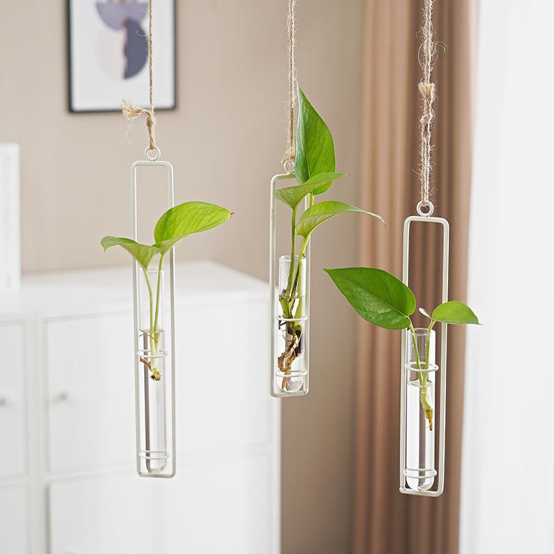 Scandinavian Glass Propagation Vase with Iron Frame