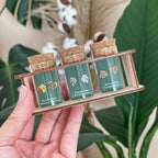 Custom Etched Propagation Stand + 3 Set Tiny Houseplant Earring Studs — product image