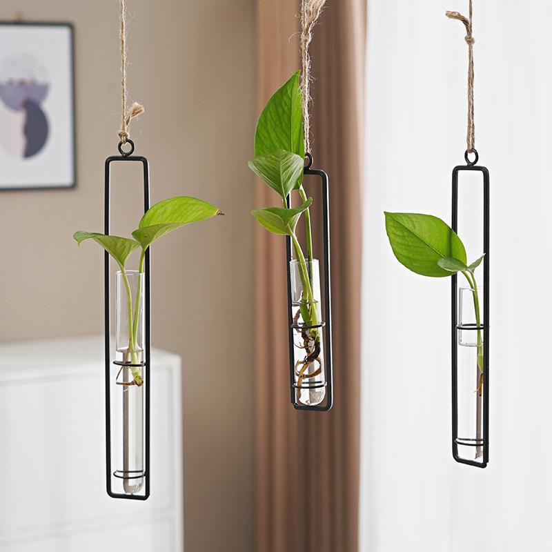 Scandinavian Glass Propagation Vase with Iron Frame