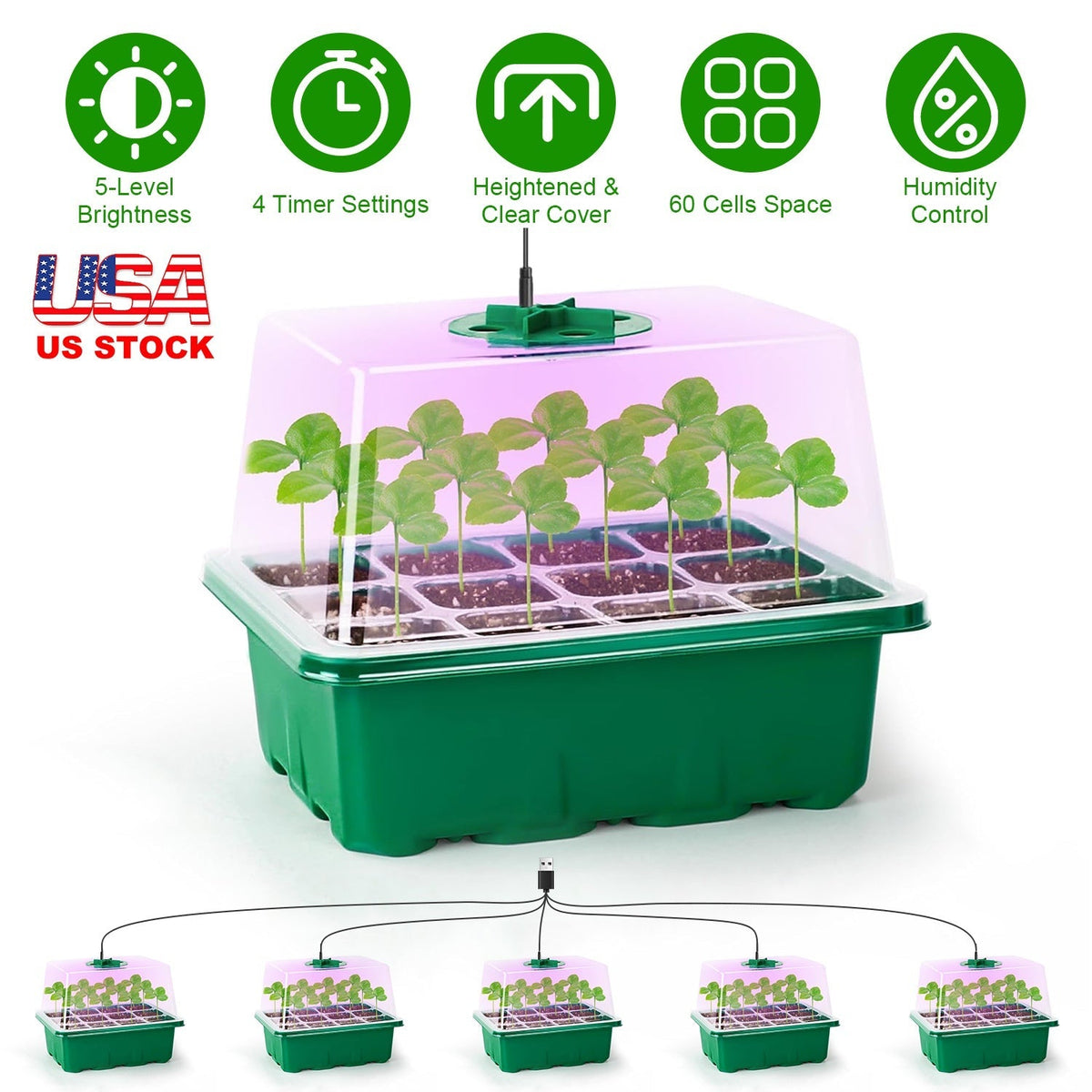 Indoor Seed Starter Kit – 5 Grow Lights, 60-Cell Tray & Humidity Dome