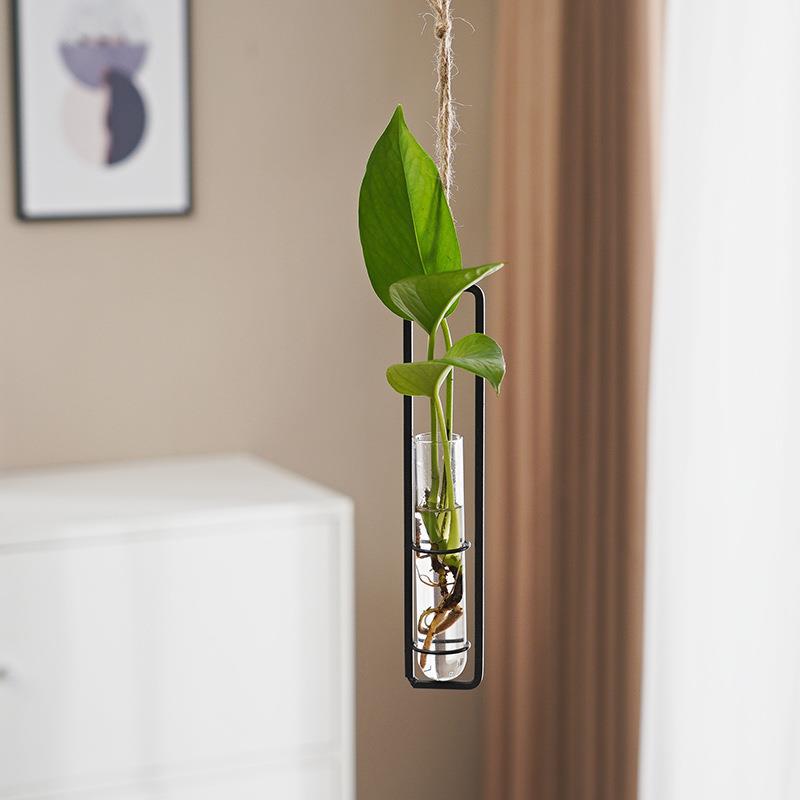 Scandinavian Glass Propagation Vase with Iron Frame