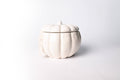 Fall Ceramic Pumpkin 16 oz: Rake, Pile, Leap! Candle — product photo 1