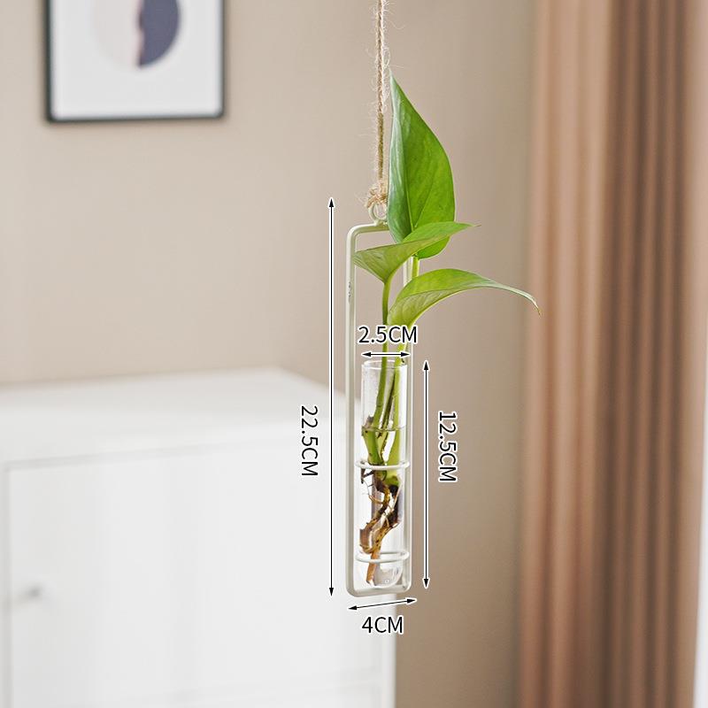 Scandinavian Glass Propagation Vase with Iron Frame