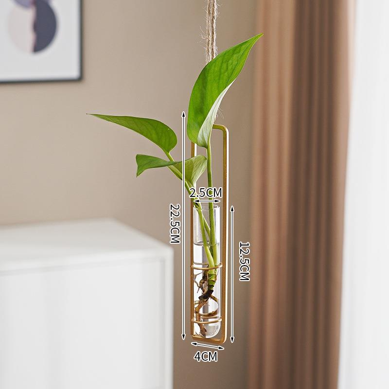 Scandinavian Glass Propagation Vase with Iron Frame