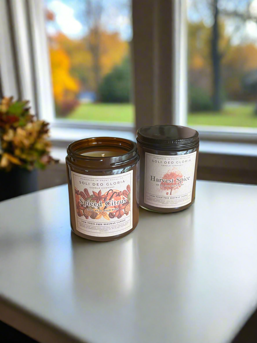 Fall Bundle | 4 Pack | Pumpkin, Spice, Citrus, Warm — product photo 8