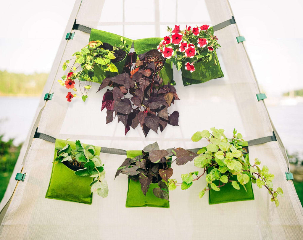 Bloom Hanging Planters