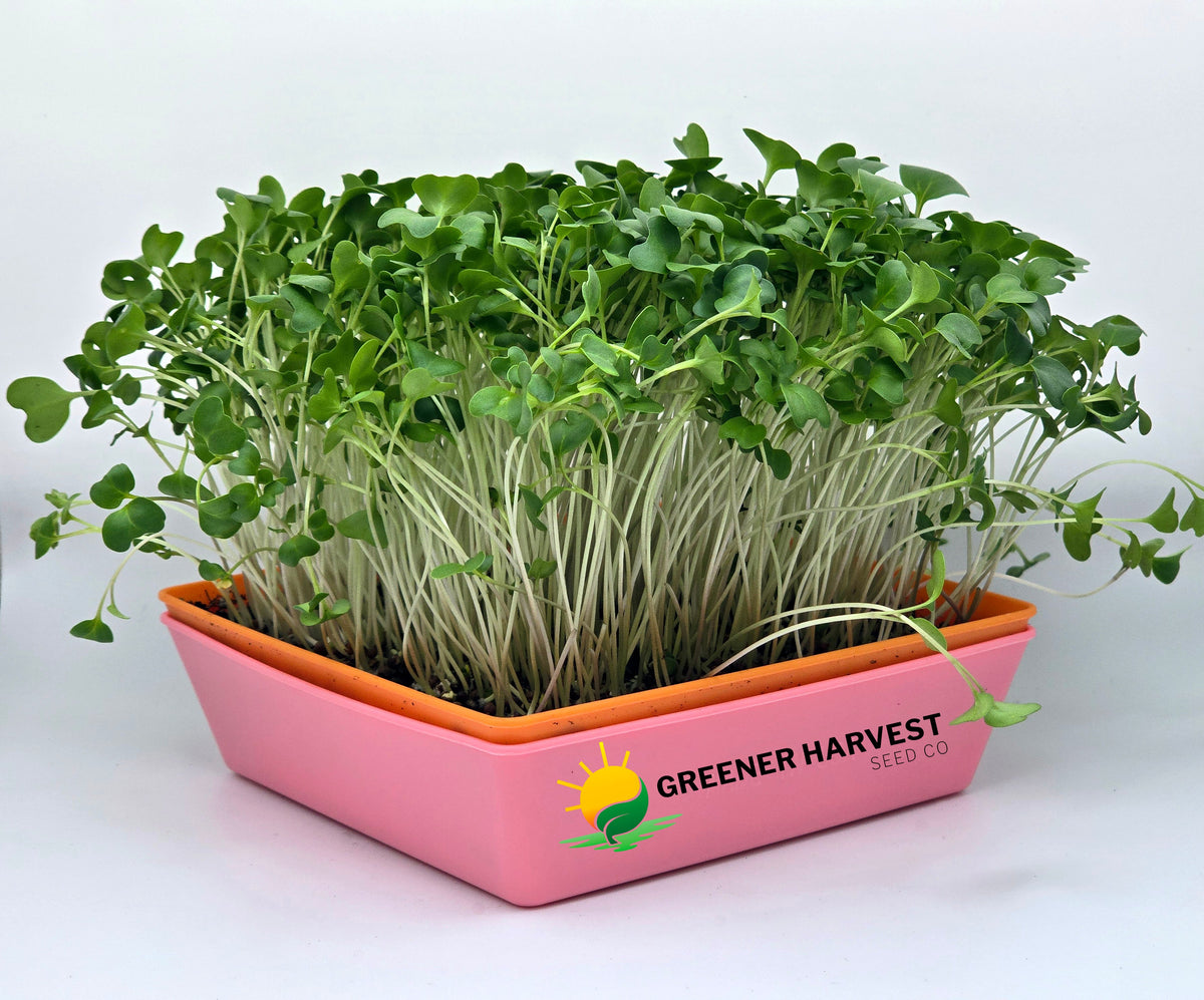 Mini Harvest Kit