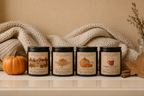 Fall Bundle | 4 Pack | Pumpkin, Spice, Citrus, Warm — product photo 1