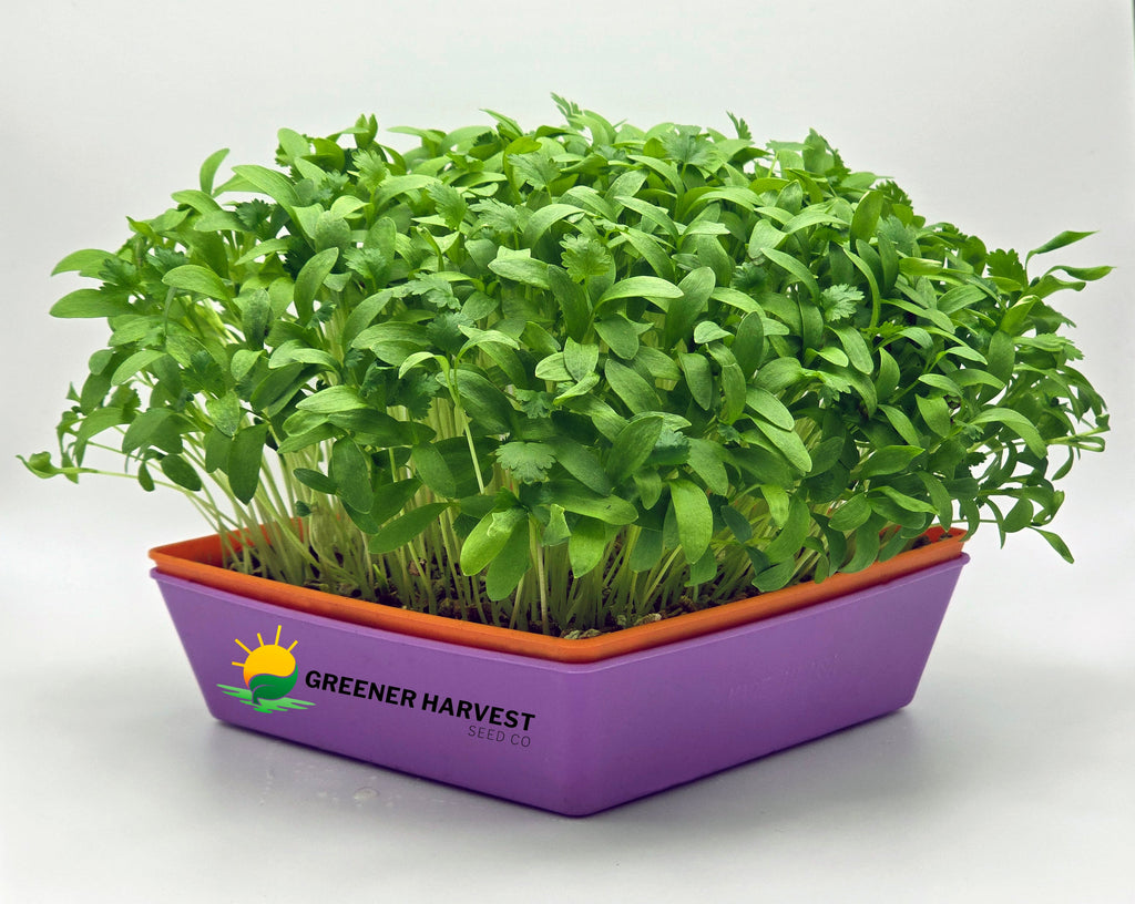 Gourmet Harvest Bundle
