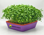 Gourmet Harvest Bundle