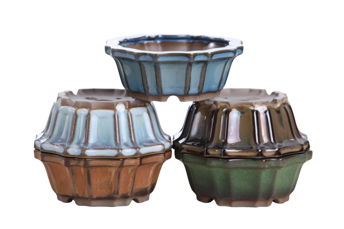 Flower Design Bonsai Pot 5 Inch – Elegant Ceramic Bonsai & Succulent Planter with Detailed Rim, High‑Fired Frost‑Proof Stoneware, Handmade in USA (Avocado)
