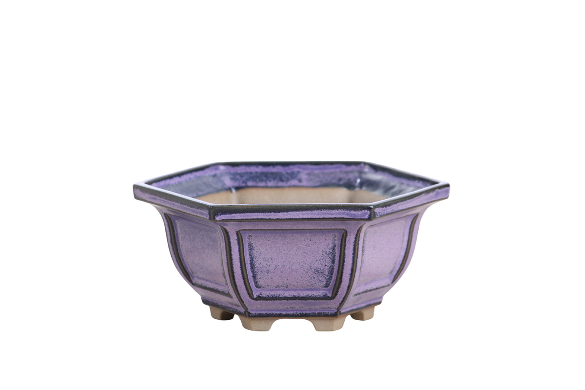 Hexagonal Windowed Bonsai Pot 5 Inch – Semi‑Cascade Planter, High‑Fired Frost‑Proof Stoneware with Drainage & Wiring Holes, Handmade in USA (Purple)