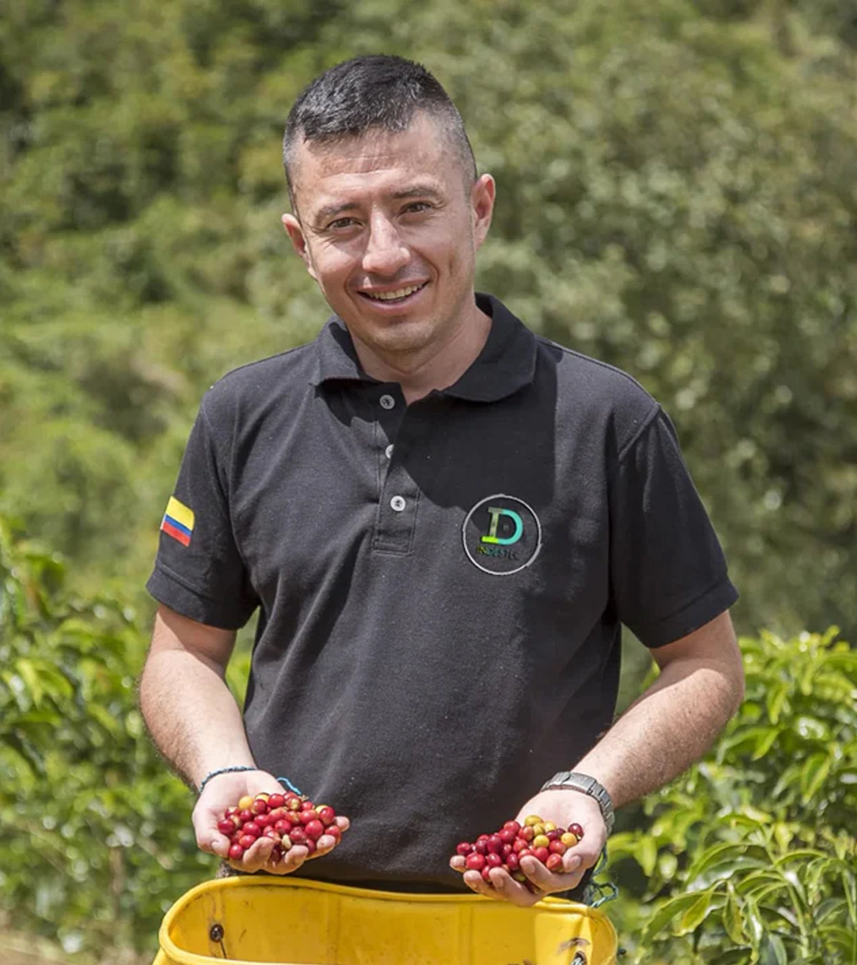 Finca El Paraíso | Lychee Peach | Sugarcane EA Decaf | Colombia