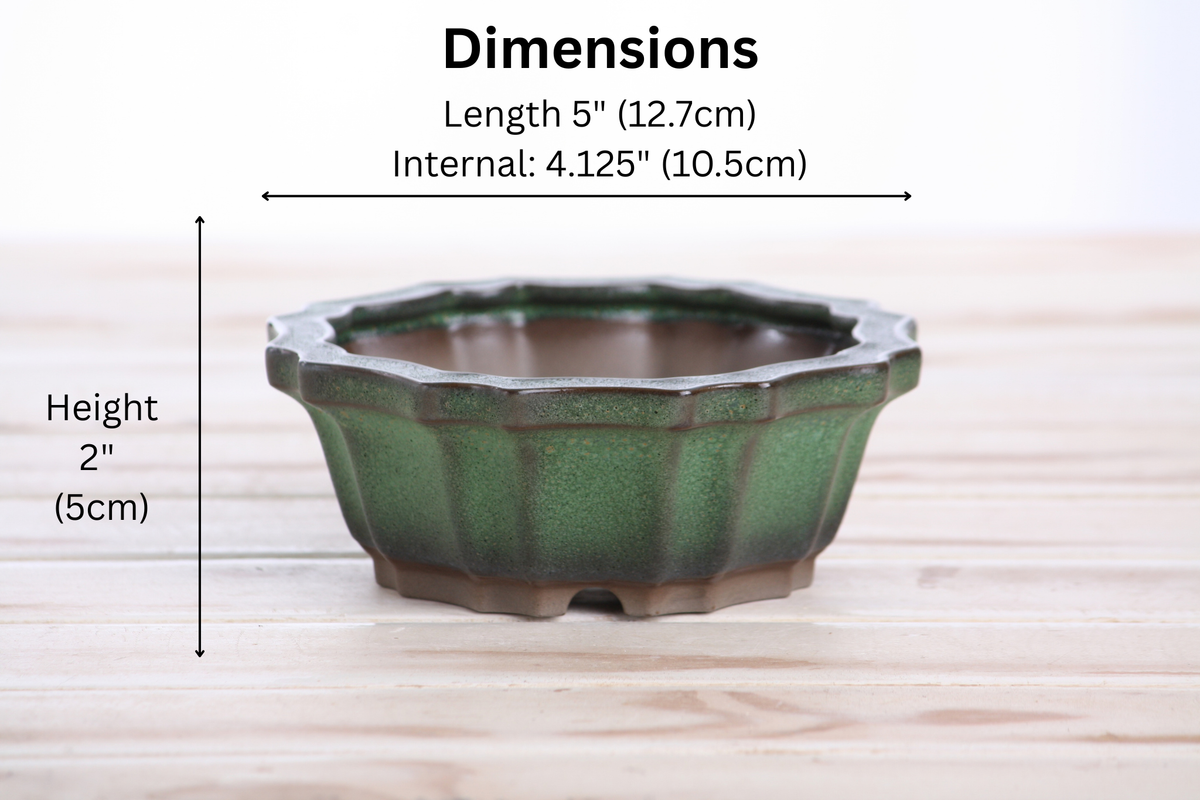 Flower Design Bonsai Pot 5 Inch – Elegant Ceramic Bonsai & Succulent Planter with Detailed Rim, High‑Fired Frost‑Proof Stoneware, Handmade in USA (Avocado)