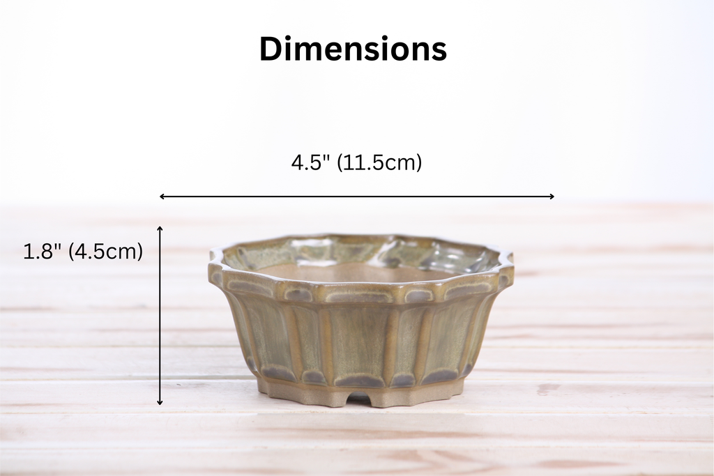 Flower Design Bonsai Pot 4.5 Inch – Elegant Ceramic Bonsai & Succulent Planter, High‑Fired Frost‑Proof Stoneware with Drainage & Wiring Holes, Handmade in USA (Copenhagen)