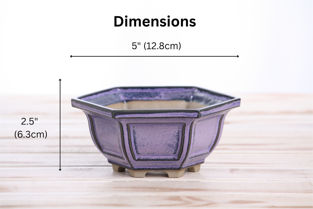 Hexagonal Windowed Bonsai Pot 5 Inch – Semi‑Cascade Planter, High‑Fired Frost‑Proof Stoneware with Drainage & Wiring Holes, Handmade in USA (Purple)