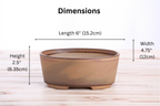 Oval A Bonsai Pot 6 Inch – Straight‑Sided Oval Ceramic Bonsai & Succulent Planter, High‑Fired Frost‑Proof Stoneware with Drainage & Wiring Holes, Handmade in USA (Deep Stone)
