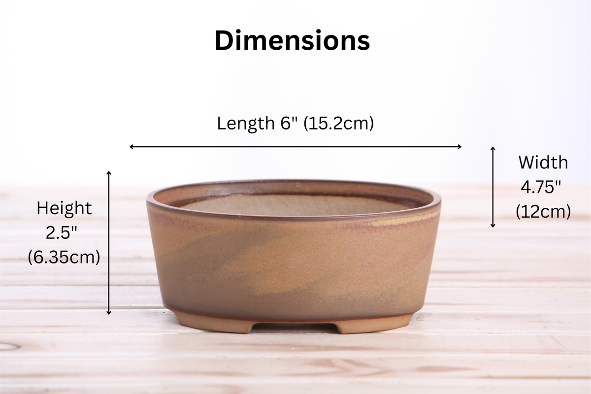 Oval A Bonsai Pot 6 Inch – Straight‑Sided Oval Ceramic Bonsai & Succulent Planter, High‑Fired Frost‑Proof Stoneware with Drainage & Wiring Holes, Handmade in USA (Deep Stone)