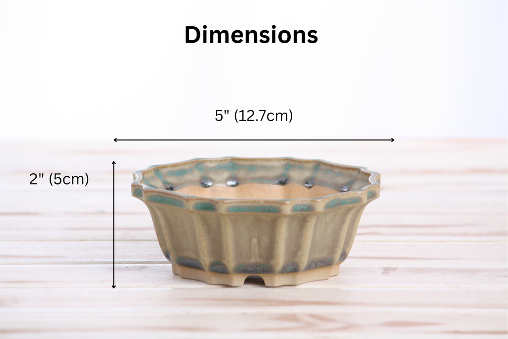 Flower Design Bonsai Pot 5 Inch – Elegant Ceramic Bonsai & Succulent Planter, High‑Fired Frost‑Proof Stoneware with Drainage & Wiring Holes, Handmade in USA (Speckled Moss)
