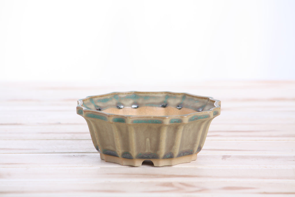 Flower Design Bonsai Pot 5 Inch – Elegant Ceramic Bonsai & Succulent Planter, High‑Fired Frost‑Proof Stoneware with Drainage & Wiring Holes, Handmade in USA (Speckled Moss)