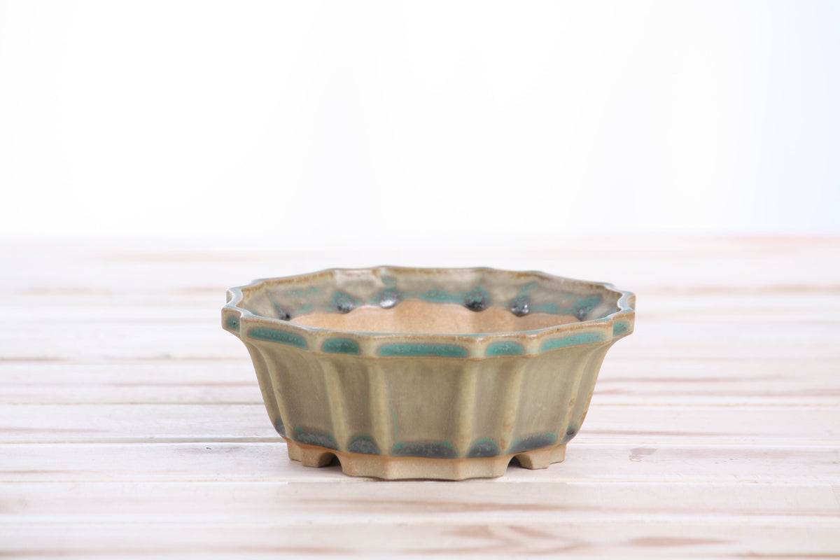 Flower Design Bonsai Pot 5 Inch – Elegant Ceramic Bonsai & Succulent Planter, High‑Fired Frost‑Proof Stoneware with Drainage & Wiring Holes, Handmade in USA (Speckled Moss)