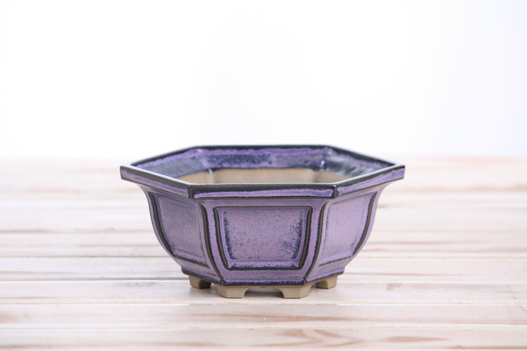 Hexagonal Windowed Bonsai Pot 5 Inch – Semi‑Cascade Planter, High‑Fired Frost‑Proof Stoneware with Drainage & Wiring Holes, Handmade in USA (Purple)
