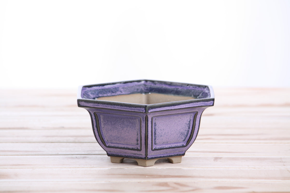 Hexagonal Windowed Bonsai Pot 5 Inch – Semi‑Cascade Planter, High‑Fired Frost‑Proof Stoneware with Drainage & Wiring Holes, Handmade in USA (Purple)