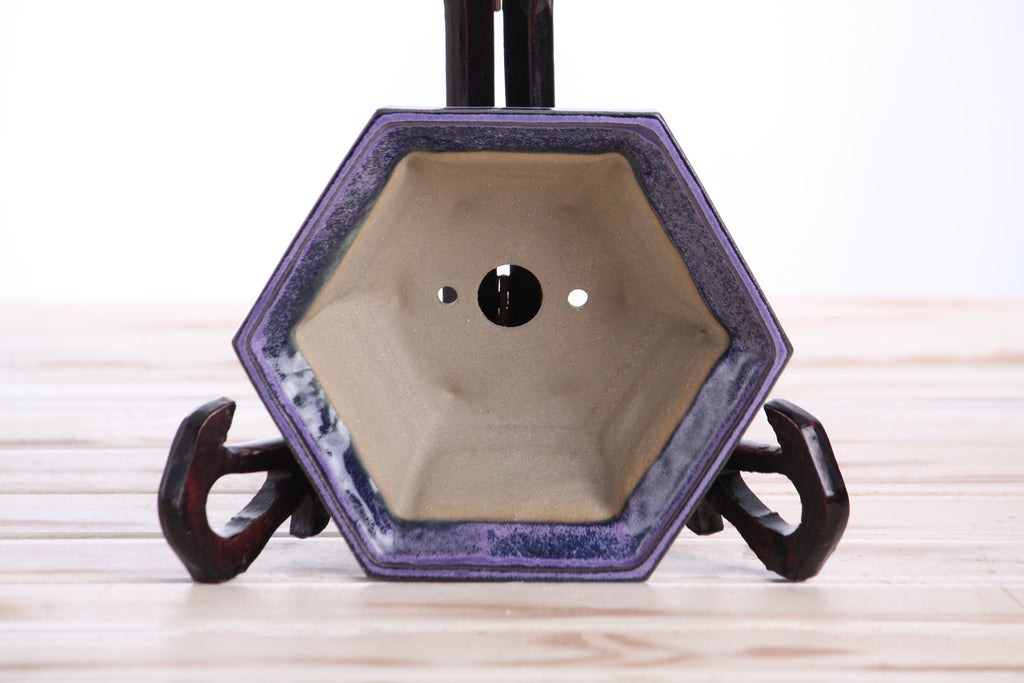 Hexagonal Windowed Bonsai Pot 5 Inch – Semi‑Cascade Planter, High‑Fired Frost‑Proof Stoneware with Drainage & Wiring Holes, Handmade in USA (Purple)