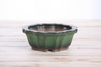 Flower Design Bonsai Pot 5 Inch – Elegant Ceramic Bonsai & Succulent Planter with Detailed Rim, High‑Fired Frost‑Proof Stoneware, Handmade in USA (Avocado)