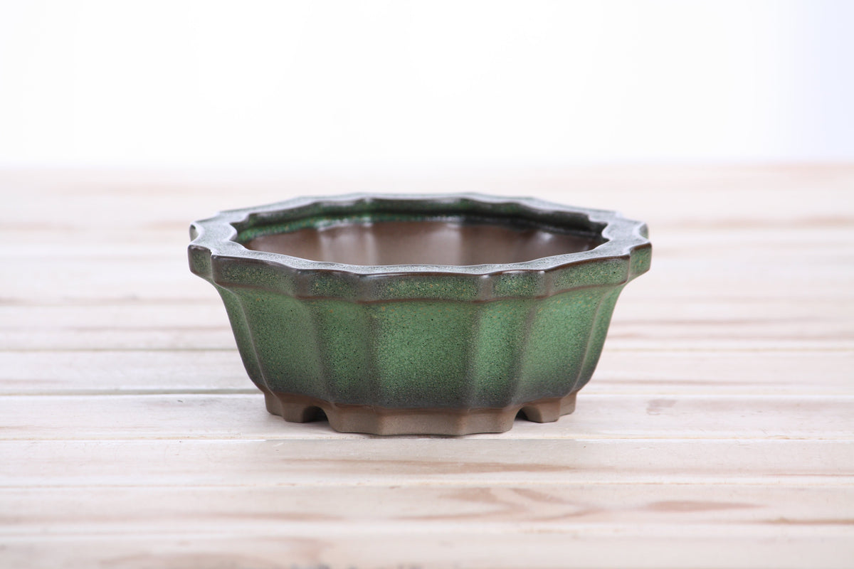 Flower Design Bonsai Pot 5 Inch – Elegant Ceramic Bonsai & Succulent Planter with Detailed Rim, High‑Fired Frost‑Proof Stoneware, Handmade in USA (Avocado)