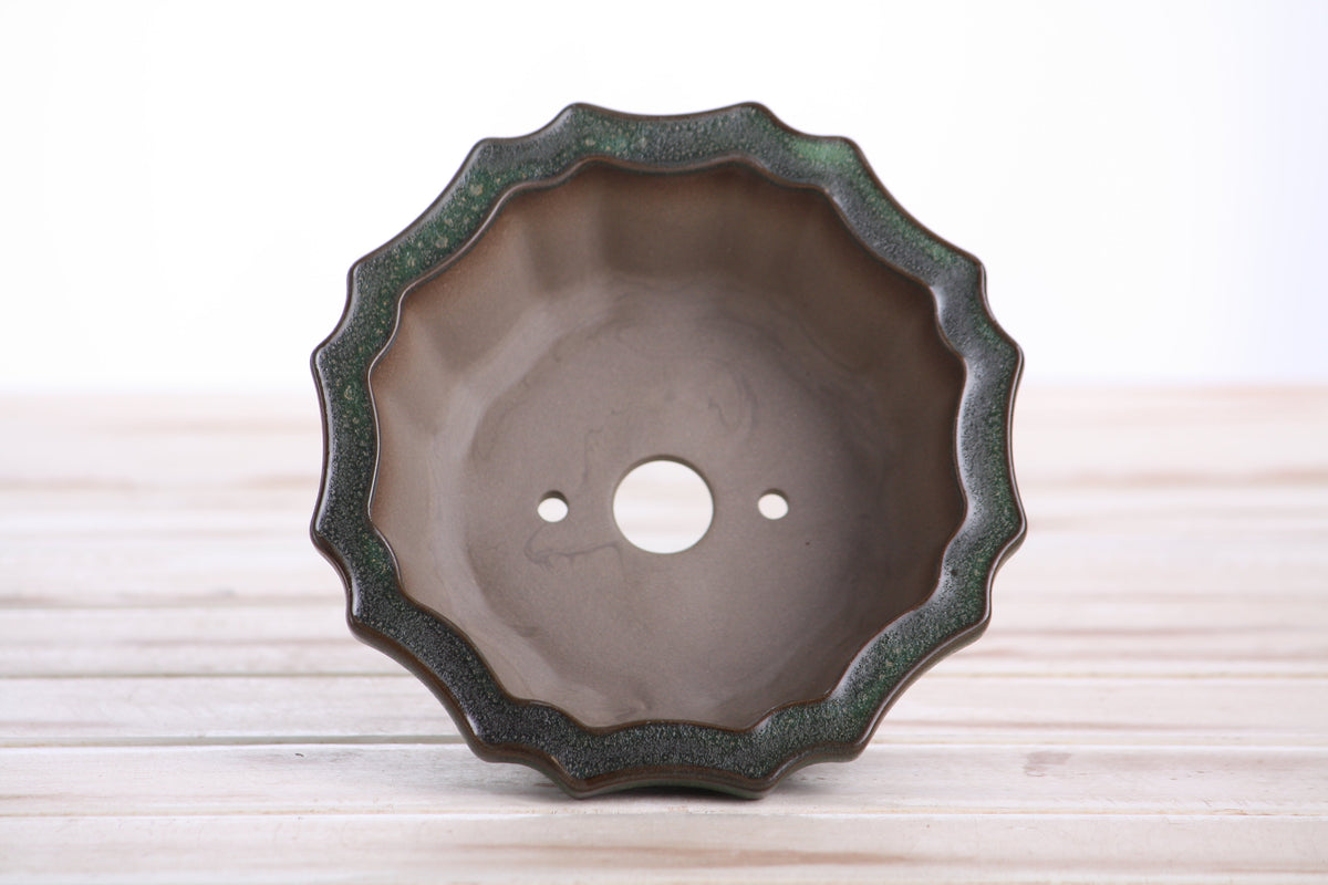 Flower Design Bonsai Pot 5 Inch – Elegant Ceramic Bonsai & Succulent Planter with Detailed Rim, High‑Fired Frost‑Proof Stoneware, Handmade in USA (Avocado)