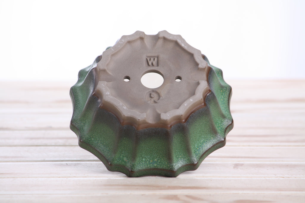 Flower Design Bonsai Pot 5 Inch – Elegant Ceramic Bonsai & Succulent Planter with Detailed Rim, High‑Fired Frost‑Proof Stoneware, Handmade in USA (Avocado)